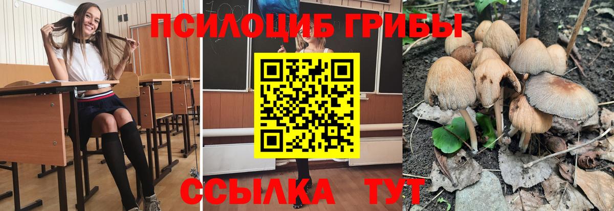 Псилоцибиновые грибы MAGIC MUSHROOMS Горячий Ключ
