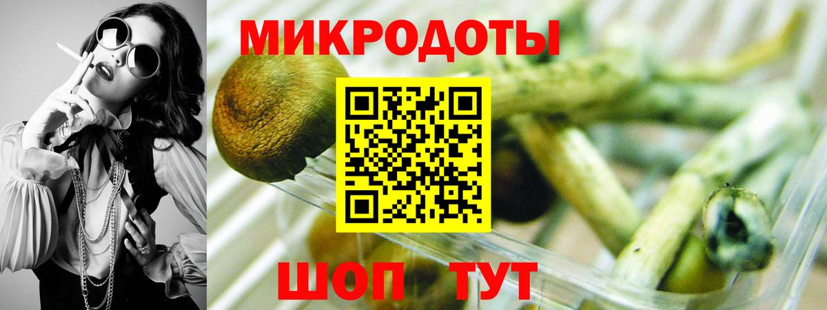 Галлюциногенные грибы прущие грибы  Вход с VPN  Горячий Ключ  Галлюциногенные грибы Psilocybe 